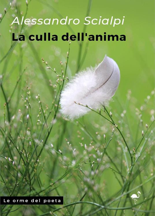 La culla dell'anima - Alessandro Scialpi - copertina