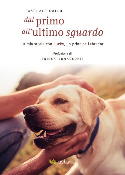 Dal primo all'ultimo sguardo - Pasquale Gallo - copertina