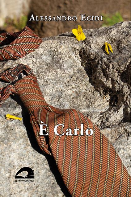 È Carlo - Alessandro Egidi - copertina