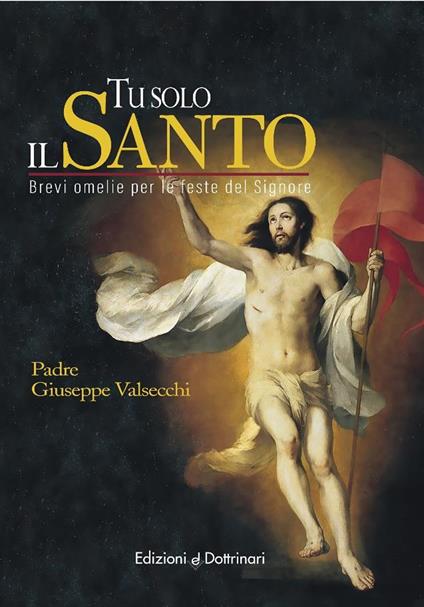 Tu solo il santo. Brevi omelie per le feste del Signore - Giuseppe Valsecchi - copertina