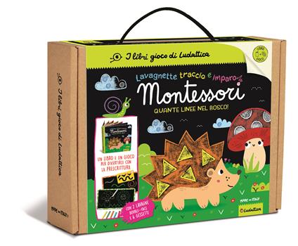 Quante linee nel bosco! Ediz. a colori. Con 2 lavagnette double-face scrivi e cancella. Con 6 gessetti colorati. Con cancellino - copertina