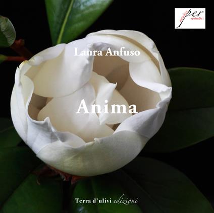 Anima - Laura Anfuso - copertina