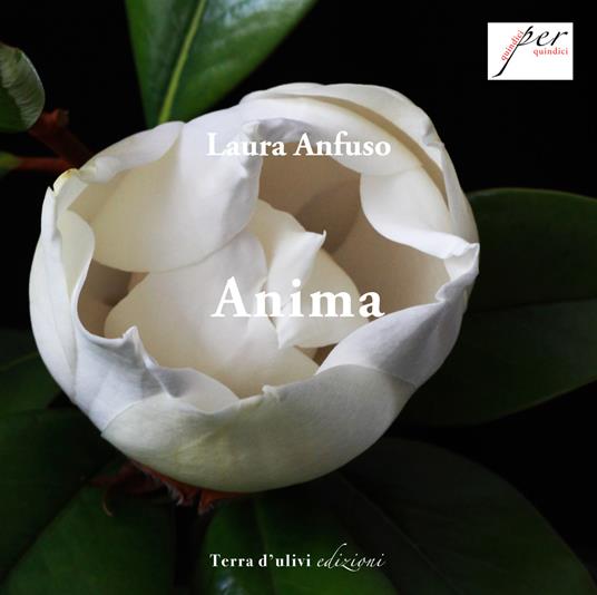 Anima - Laura Anfuso - copertina