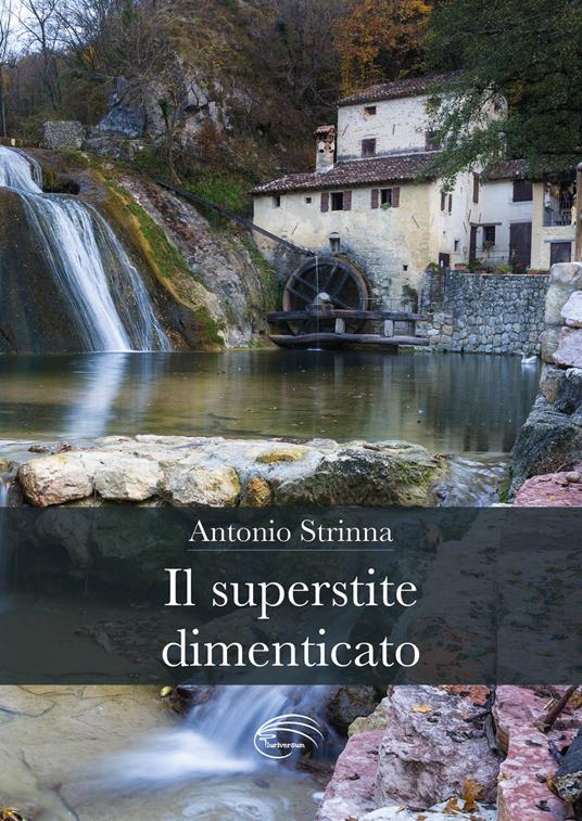 Il superstite dimenticato - Antonio Strinna - copertina