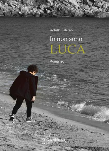 Io non sono Luca - Achille Salerno - copertina