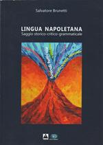 Lingua napoletana. Saggio storico-critico-grammaticale
