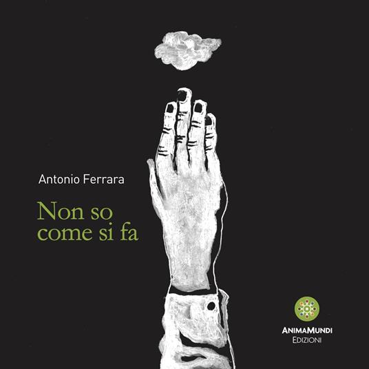 Non so come si fa - Antonio Ferrara - copertina