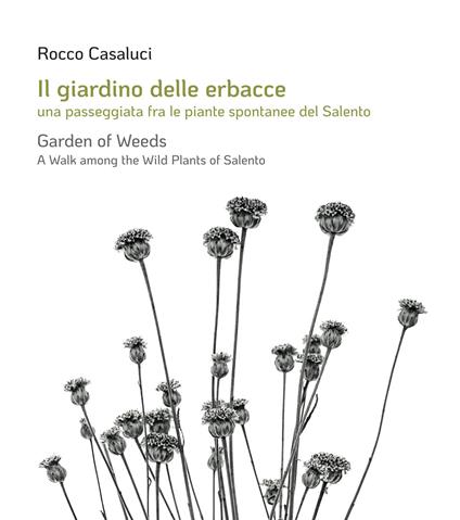 Il giardino delle erbacce. Una passeggiata fra le piante spontanee del Salento. Ediz. italiana e inglese - Rocco Casaluci - copertina