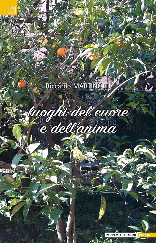 Luoghi del cuore e dell'anima - Riccardo Martinotti - copertina