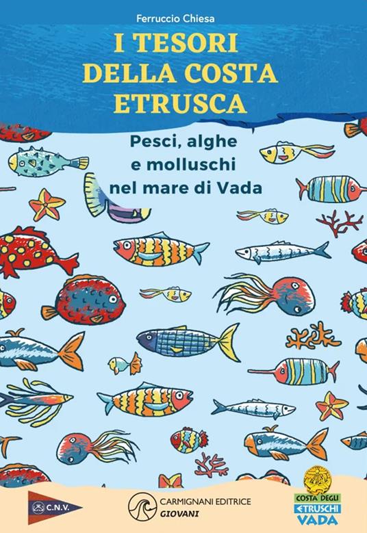 I tesori della costa. Pesci, alghe e molluschi nel mare di Vada - Ferruccio Chiesa - copertina