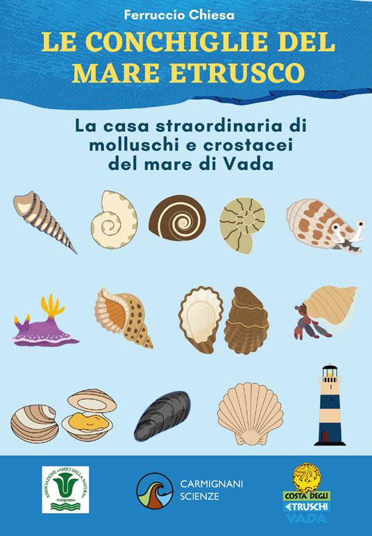 Le conchiglie del mare etrusco. La casa straordinaria di molluschi e crostacei. Ediz. illustrata - Ferruccio Chiesa - copertina