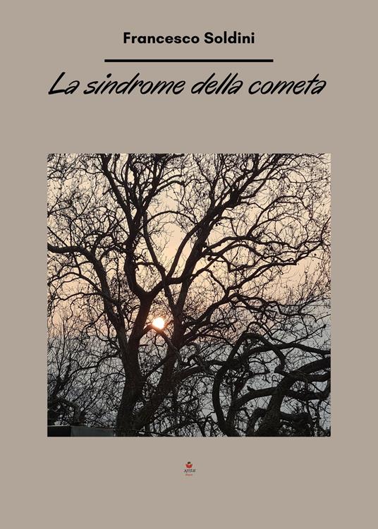 La sindrome della cometa - Francesco Soldini - copertina
