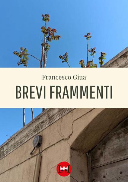 Brevi frammenti - Francesco Giua - copertina