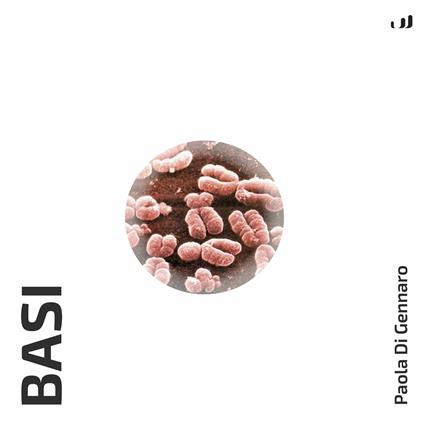 Basi - Paola Di Gennaro - copertina