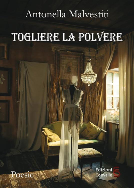 Togliere la polvere - Antonella Malvestiti - copertina