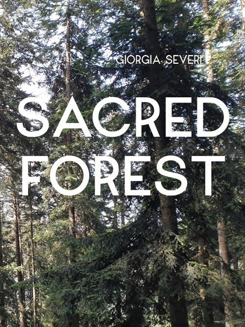 Giorgia Severi. Sacred forest. Ediz. a colori - copertina