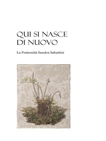Qui si nasce di nuovo. La Fraternità Sandra Sabattini - Seminario diocesano di Faenza - copertina