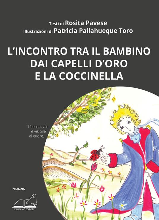 L'incontro tra il bambino dai capelli d'oro e la coccinella. L'essenziale è visibile al cuore - Rosita Pavese - copertina