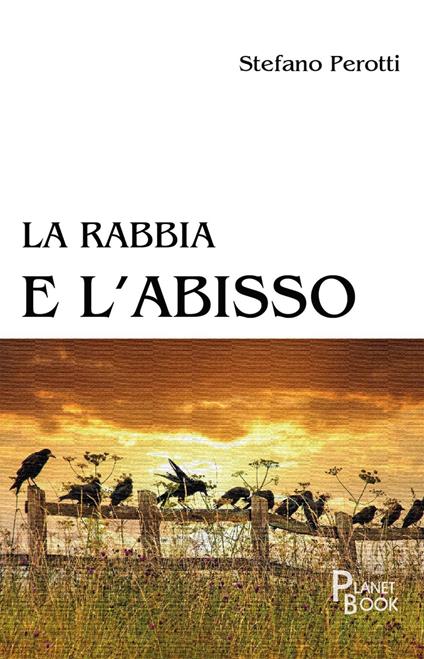 La rabbia e l'abisso - Stefano Perotti - copertina