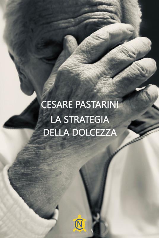 La strategia della dolcezza - Cesare Pastarini - copertina