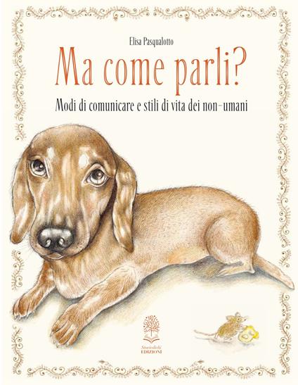 Ma come parli? Modi di comunicare e stili di vita dei non-umani. Ediz. a colori - Elisa Pasqualotto - copertina