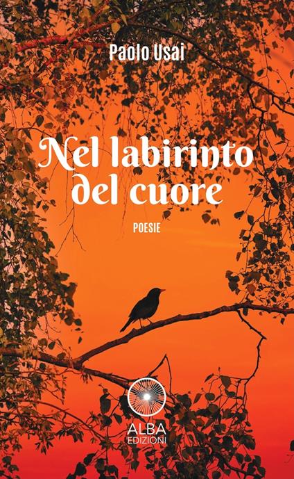 Nel labirinto del cuore - Paolo Usai - copertina