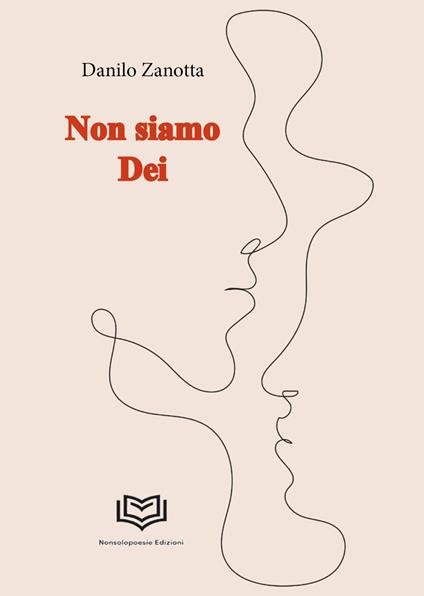Non siamo dei - Danilo Zanotta - copertina