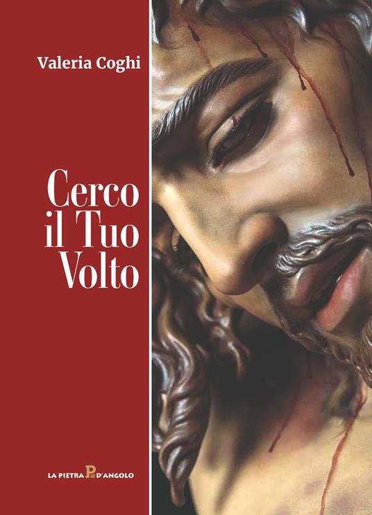 Cerco il tuo volto - Valeria Coghi - copertina