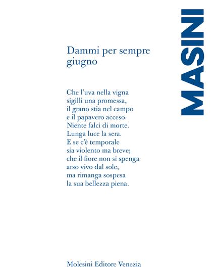 Dammi per sempre giugno - Beatrice Masini - copertina