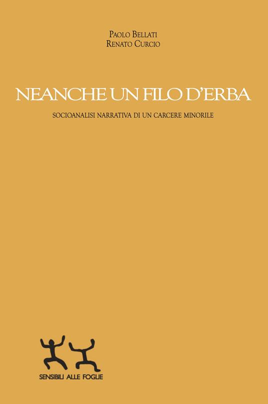 Neanche un filo d'erba. Socioanalisi narrativa di un carcere minorile - Paolo Bellati,Renato Curcio - copertina