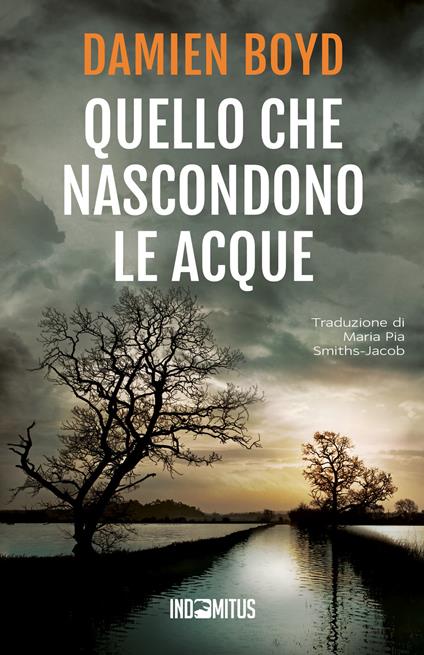 Quello che nascondono le acque - Damien Boyd - copertina