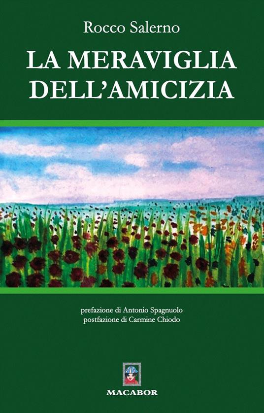 La meraviglia dell’amicizia - Rocco Salerno - copertina