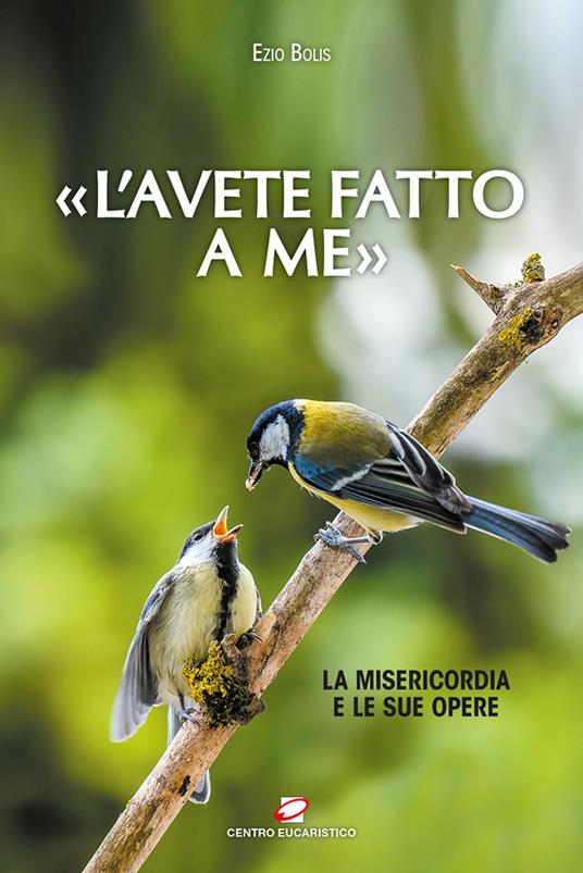 «L’ avete fatto a me». La misericordia e le sue opere - Ezio Bolis - copertina
