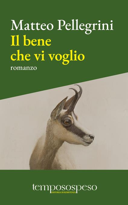 Il bene che vi voglio - Matteo Pellegrini - copertina