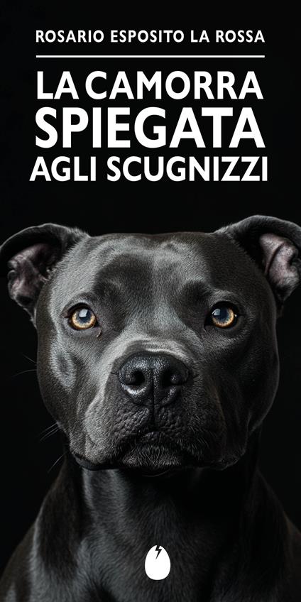 La camorra spiegata agli Scugnizzi - Esposito Rosario La Rossa - copertina