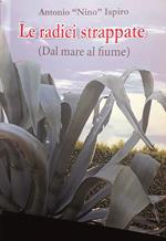 Le radici strappate (dal mare al fiume)