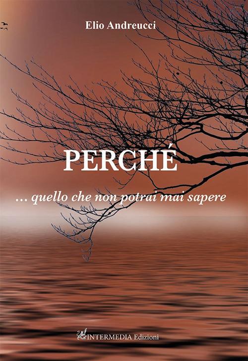 Perché...quello che non potrai mai sapere - Elio Andreucci - copertina