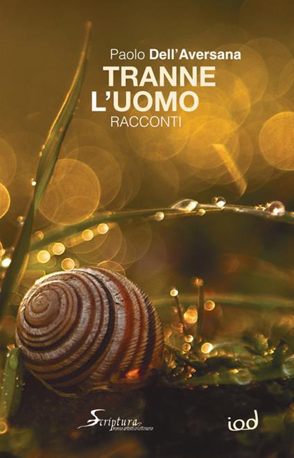 Tranne l'uomo - Paolo Dell'Aversana - copertina