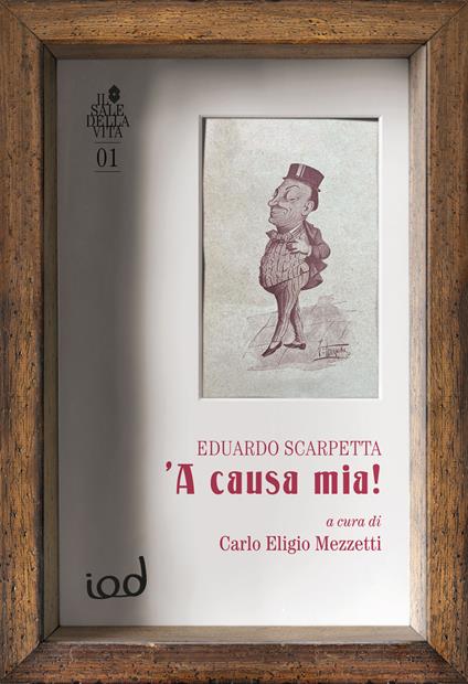 A causa mia! - copertina