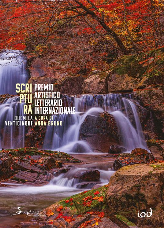 Scriptura. Premio artistico letterario internazionale 2025 - copertina