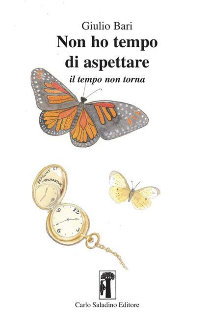 Non ho tempo di aspettare. Il tempo non torna - Giulio Bari - copertina