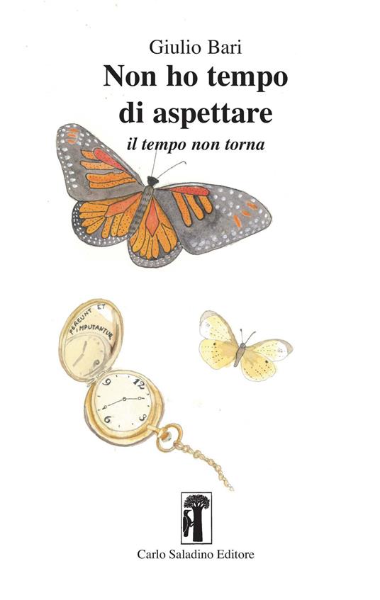 Non ho tempo di aspettare. Il tempo non torna - Giulio Bari - copertina