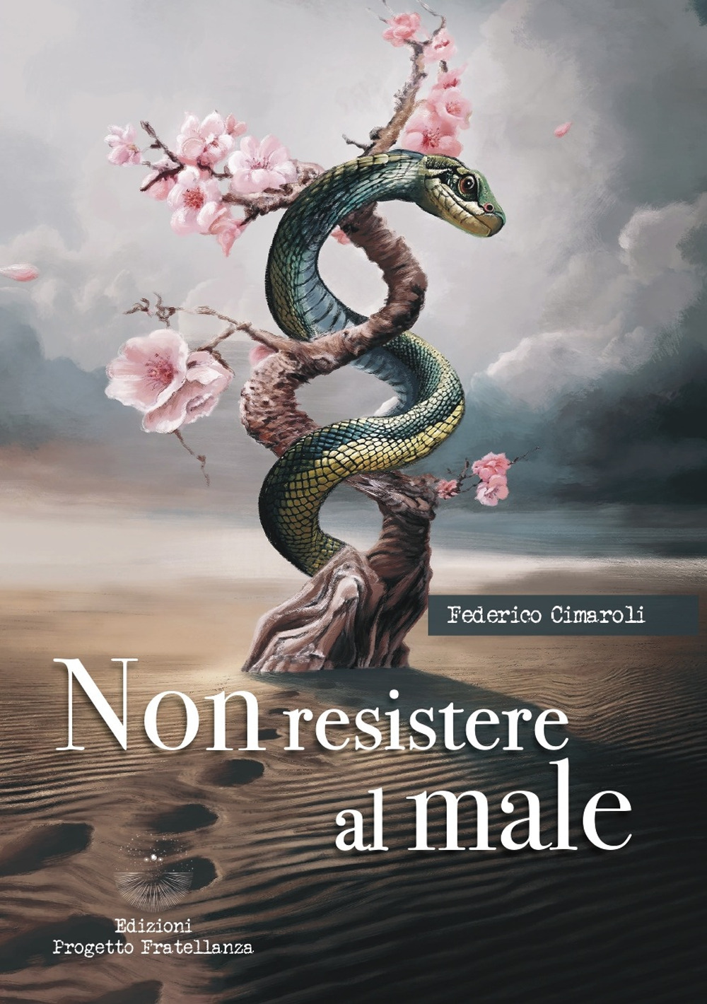 Libreria Nani