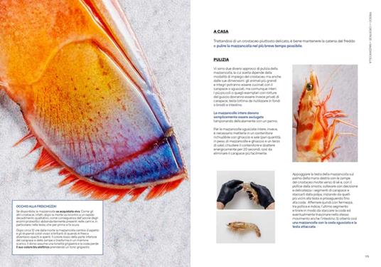 Fresco. Conoscere, scegliere e cucinare il pesce - Gennaro D'Ignazio,Eugenio Signoroni - 3