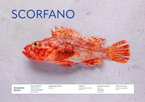 Fresco. Conoscere, scegliere e cucinare il pesce - Gennaro D'Ignazio,Eugenio Signoroni - 4