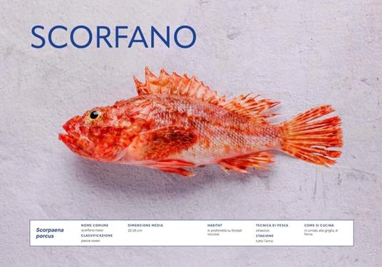 Fresco. Conoscere, scegliere e cucinare il pesce - Gennaro D'Ignazio,Eugenio Signoroni - 4