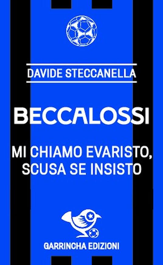 Beccalossi. Mi chiamo Evaristo, scusa se insisto - Davide Steccanella - copertina