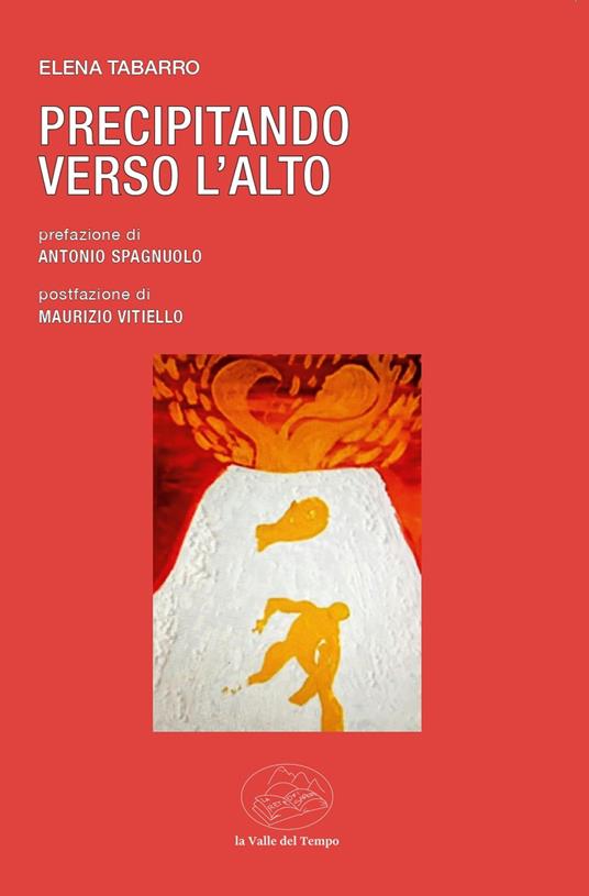 Precipitando verso l'alto - Elena Tabarro - copertina