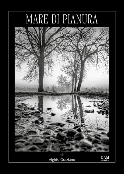 Mare di pianura. Ediz. illustrata - Graziano Alghisi - copertina