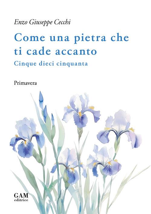 Come una pietra che ti cade accanto. Cinque dieci cinquanta. Primavera - Enzo Giuseppe Cecchi - copertina